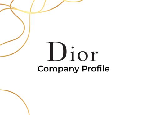 dior company profile 2017